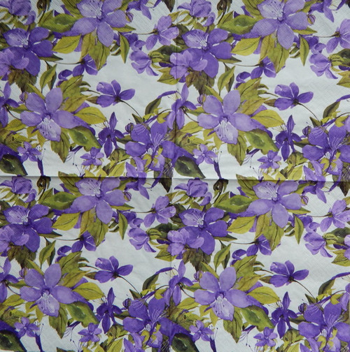 Flowering Clematis 1302