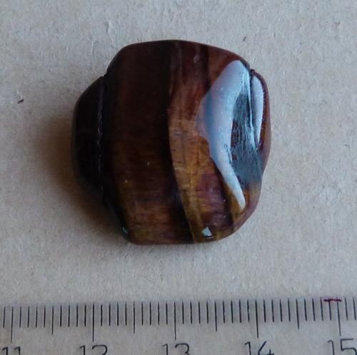 Býčí oko - 2,6 cm