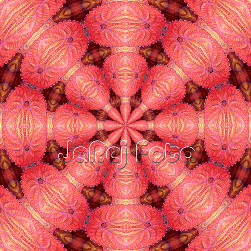 Mandala z červených lístků — foto 1