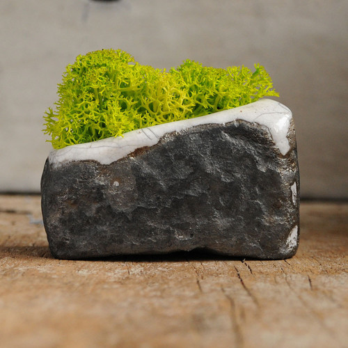 Miniatúrna RAKU záhrada — foto 1