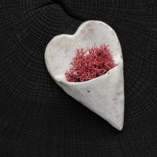 White Valentin - REINDEER MOSS (magnetka) — foto 1