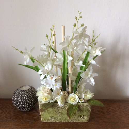 Bílé orchideje — foto 1