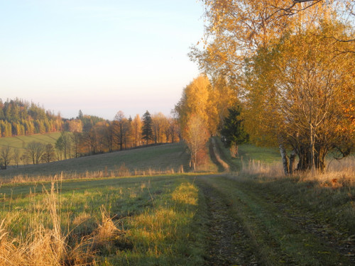 Poezie přírody... pohlednice, kartička