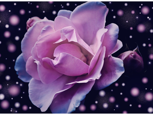 Panel 20x15cm Galaxy Rose — foto 1