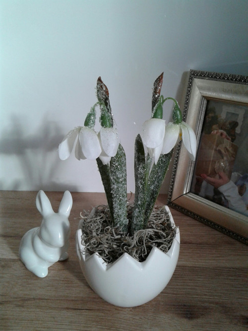 Mini skořápka — foto 1