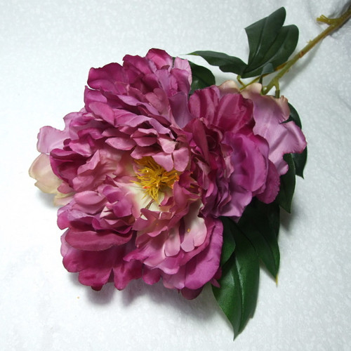 Pivoňka 80 cm (3) — foto 1