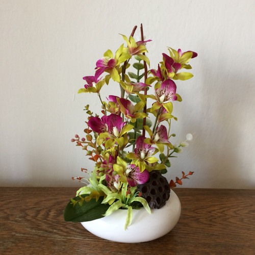 Orchideje — foto 1