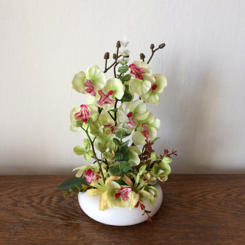 Orchideje 2 — foto 1