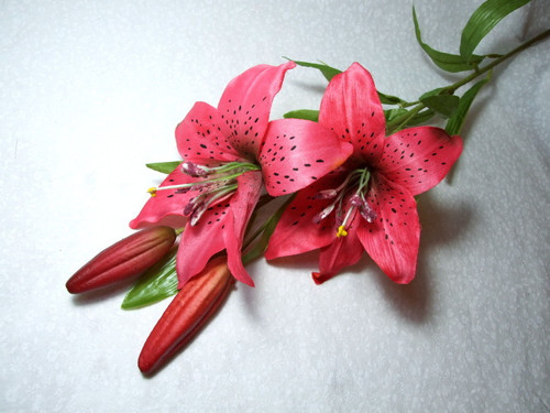 Lilie růžová 80 cm — foto 1