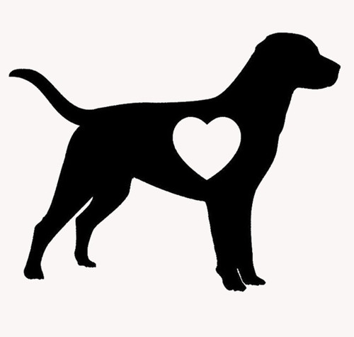 Labrador Vinylová Samolepka Na Auto