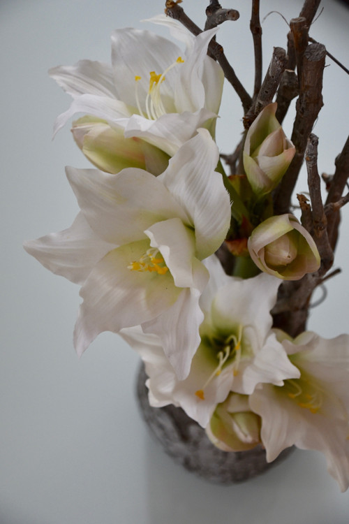 Dekorace CRACLeAmarylis — foto 1