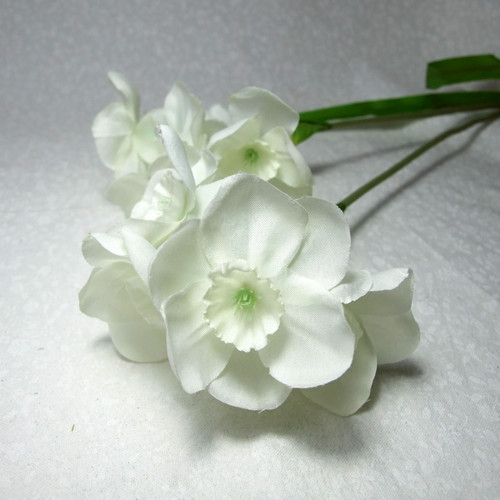 Narcis bílý — foto 1