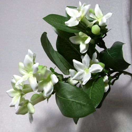 Stephanotis 58 cm — foto 1