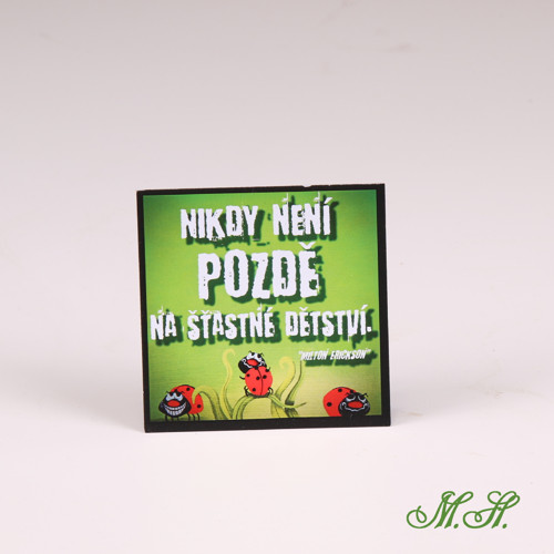 Nikdy není pozdě na šťastné dětství. - magnetka