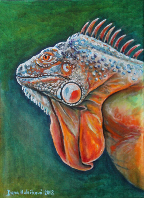 Leguán - originální olejomalba