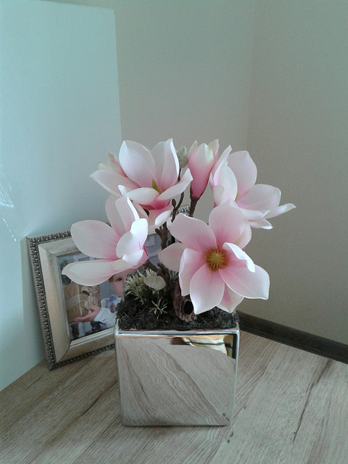 Magnolie ... — foto 1