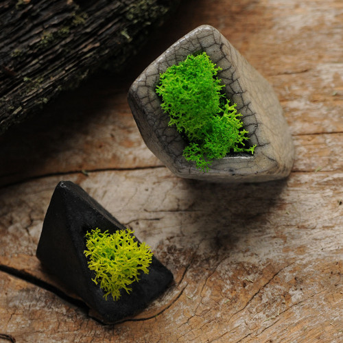 Miniatúrna RAKU záhrada — foto 1