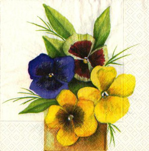 Ubrousky - Macešky — foto 1