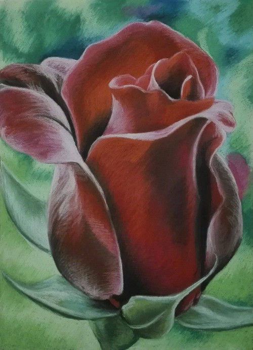 Detail růže II.
