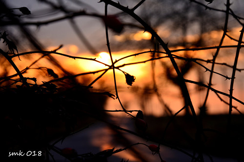 Cesta - autorská fotografie