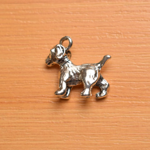 Pes - 19 x 22 mm