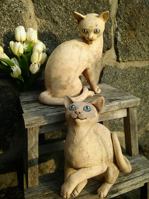 Dvě kočky modroočky (na přání) — foto 1