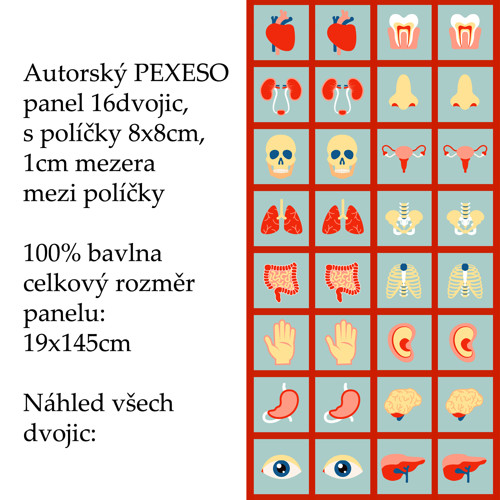 PEXESO panel 8x8cm, 16 dvojic: LIDSKÉ TĚLO — foto 1