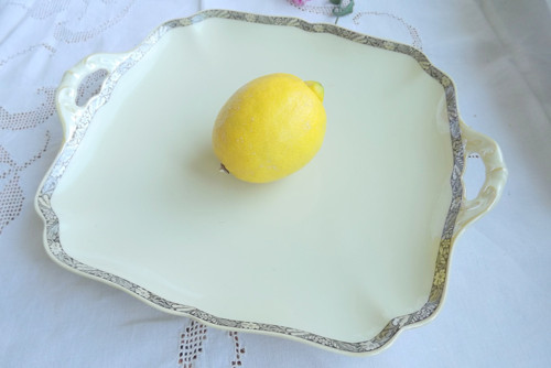 Elegance pro servírování
