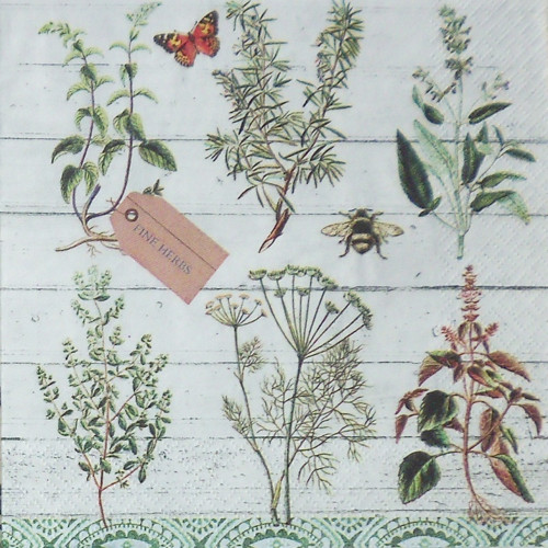 Bylinky botanické
