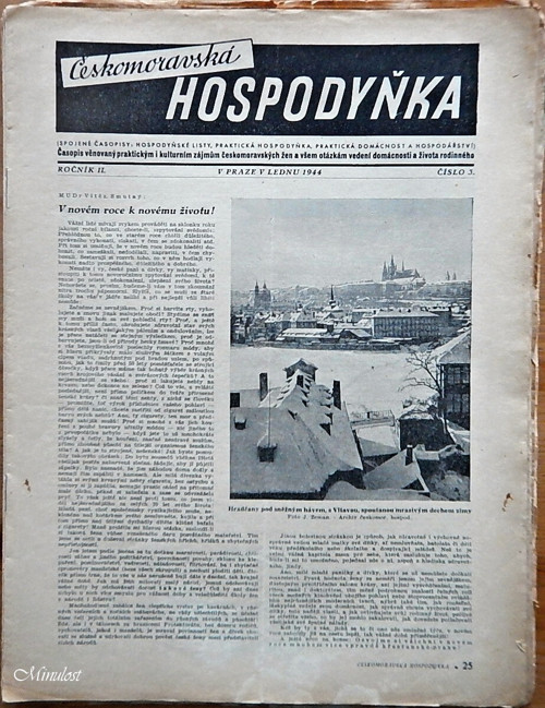 Českomoravská HOSPODYŇKA — foto 1