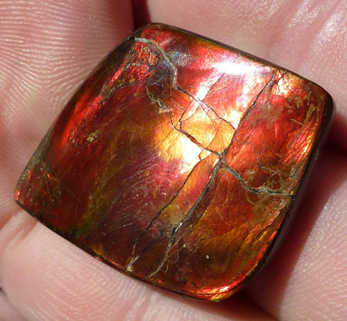 AMMOLITE AMMOLIT 31 x 27 x 5 mm VZÁCNÝ 10.30 g