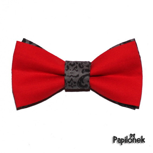 Pánský motýlek - Papilónek elegánek — foto 1