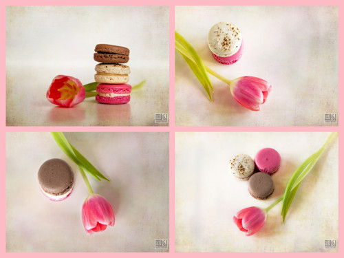Sweet spring - rezervace pro Marannka — foto 1