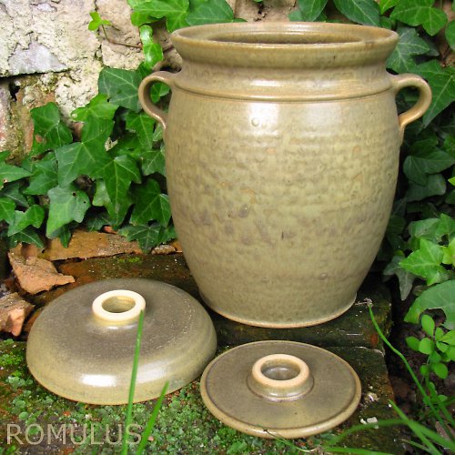 Kvašák zelený 2,4l — foto 1