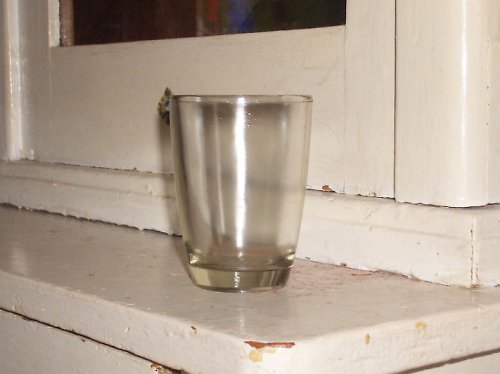 Horčičák — foto 1