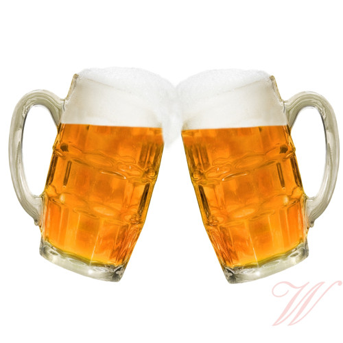 Bavlněný panel Pivo 4 — foto 1