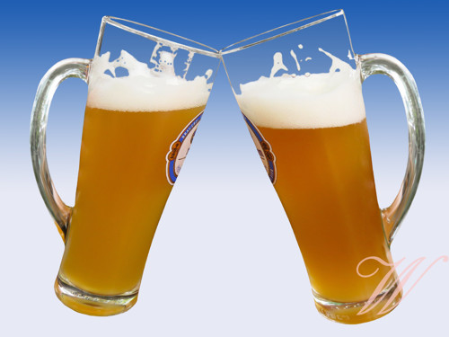 Bavlněný panel Pivo 5 — foto 1