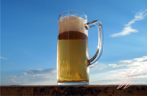 Bavlněný panel Pivo 9 — foto 1