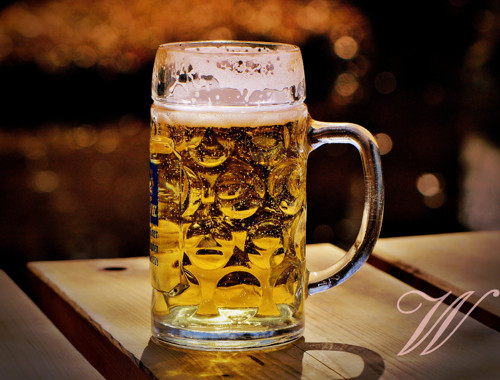 Bavlněný panel Pivo 10