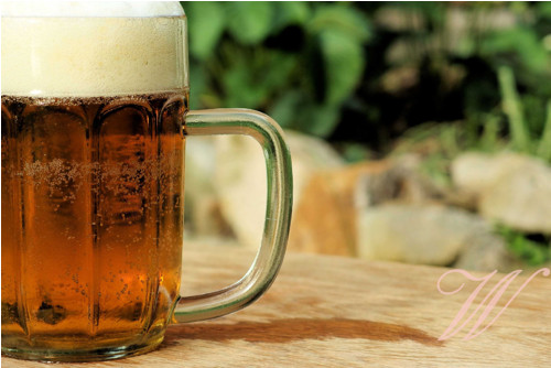 Bavlněný panel Pivo 12