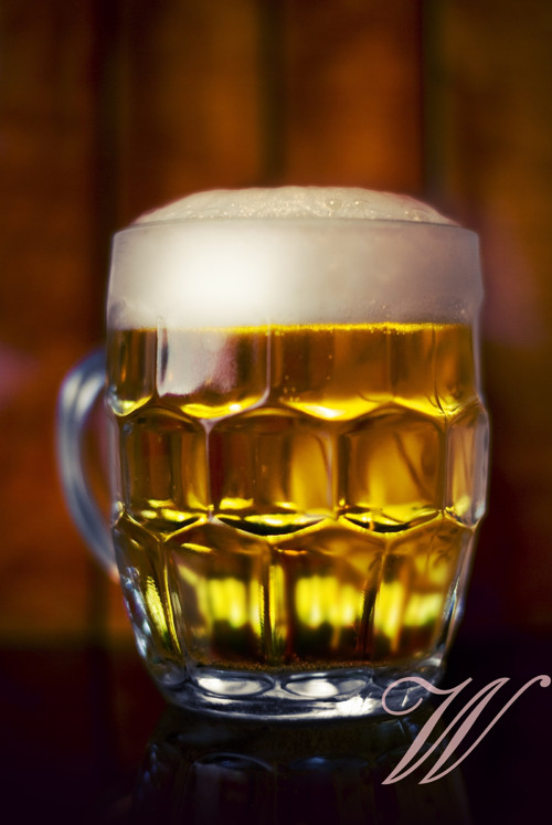 Bavlněný panel Pivo 13