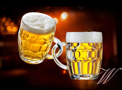 Bavlněný panel Pivo 15