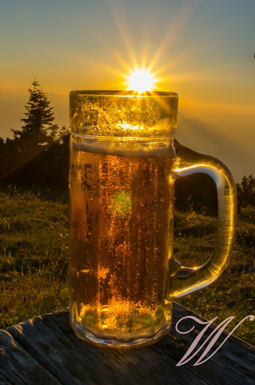 Bavlněný panel Pivo 16 — foto 1