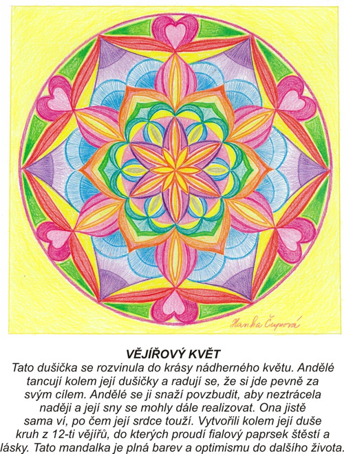 Vějířový květ-kartičky 10x13