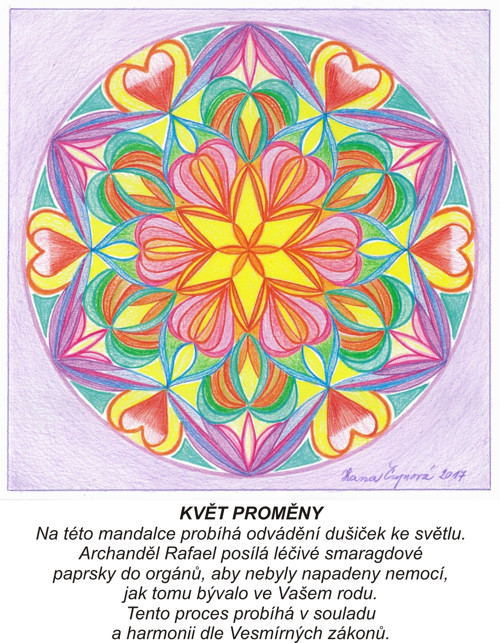 Květ lproměny-kartičky 10x13