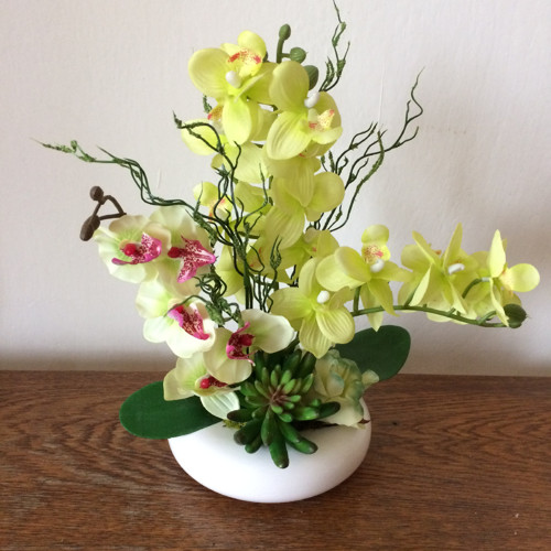 Orchideje s netřeskem — foto 1