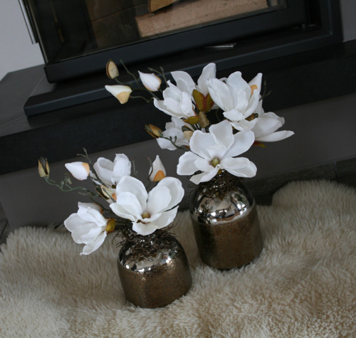 Sada váz s magnoliemi — foto 1