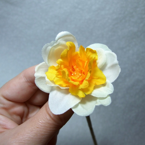 Narcis plnokvětý — foto 1