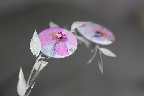 Sakura. — foto 1