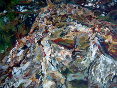 Pinus II.